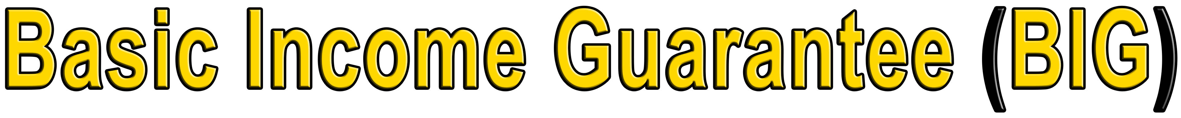 Basic Income Guarantee (BIG)